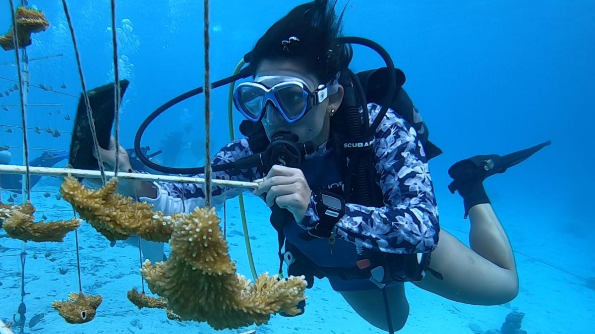 Alyssa Poleska underwater scuba diving, cleaning a coral restoration tree