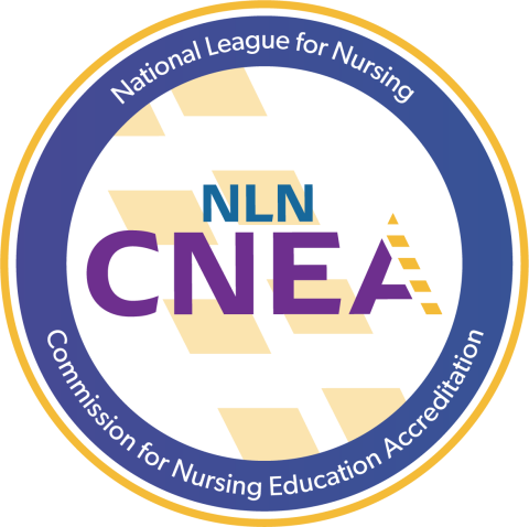 Integrative Nursing Leadership (MSN)