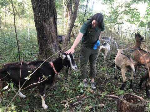 Molly petting a goat outside