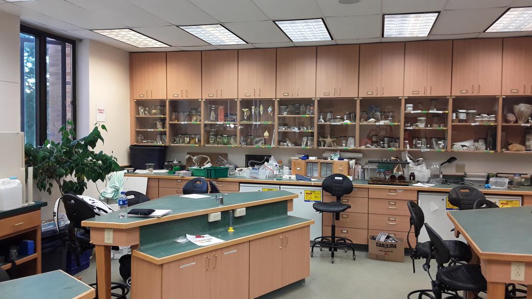 geology research lab