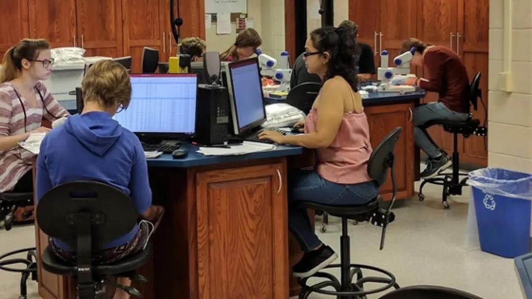 Students sitting on computers in the Processing Laboratory