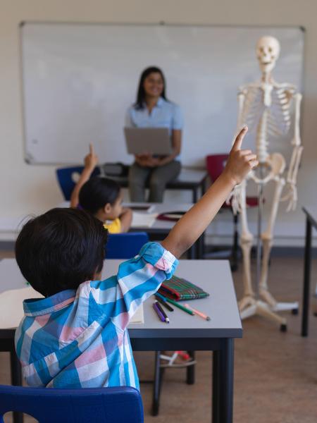 Students raising hands in classroom with skeleton figure